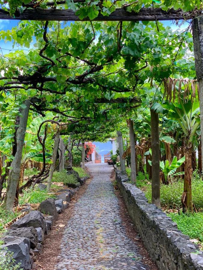 Faja Dos Padres Villa Ribeira Brava Exteriör bild