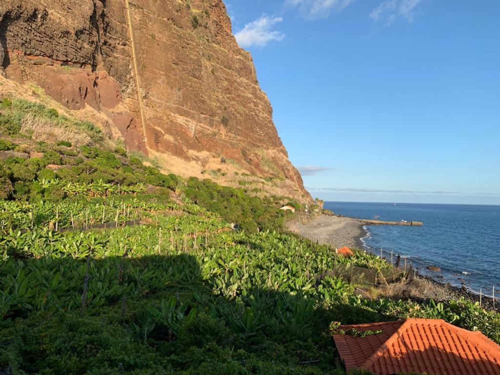 Faja Dos Padres Villa Ribeira Brava Exteriör bild